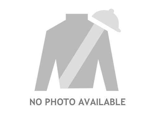 No Image Available